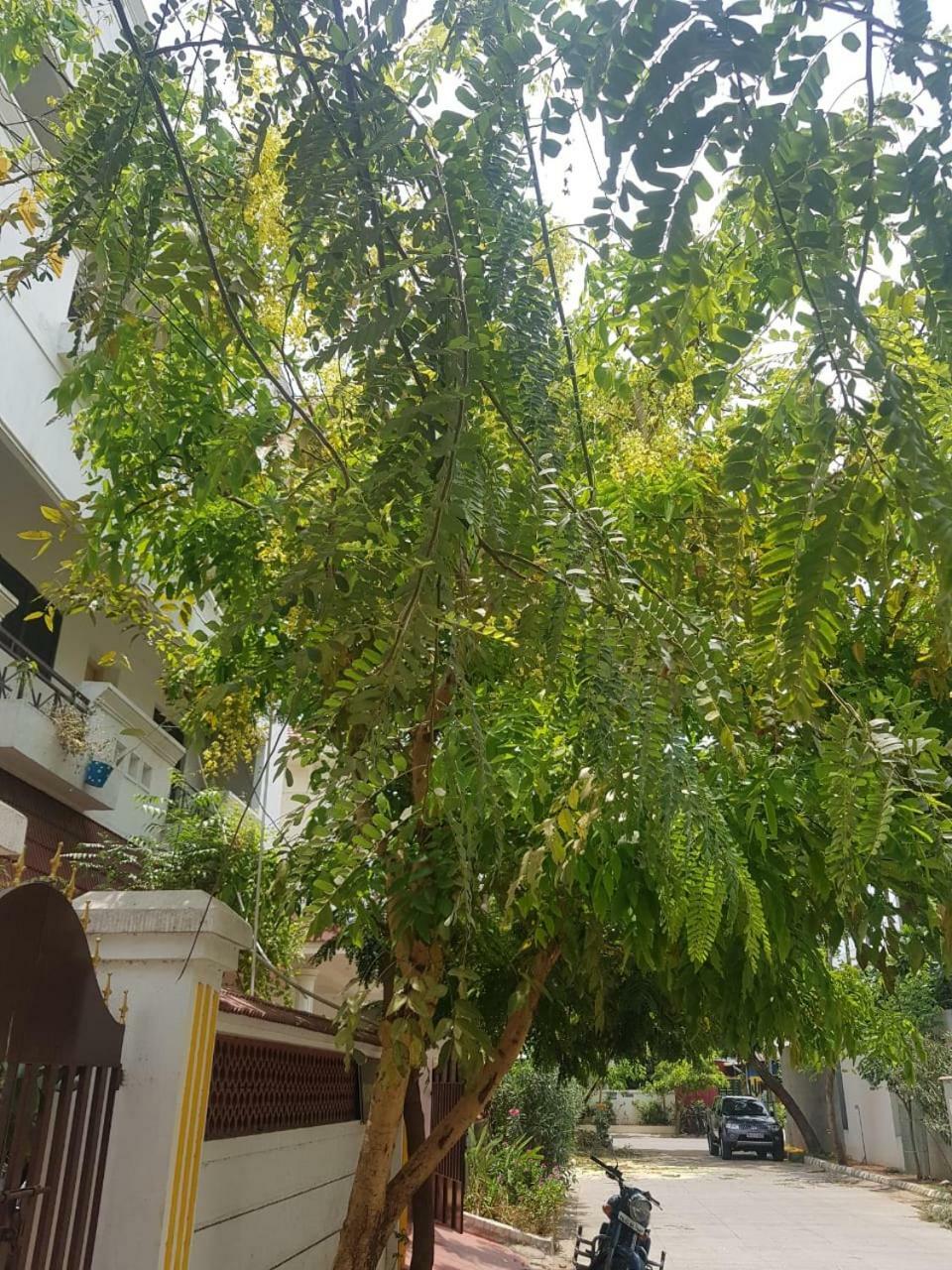 Royal Palace Guest House Chennai Esterno foto